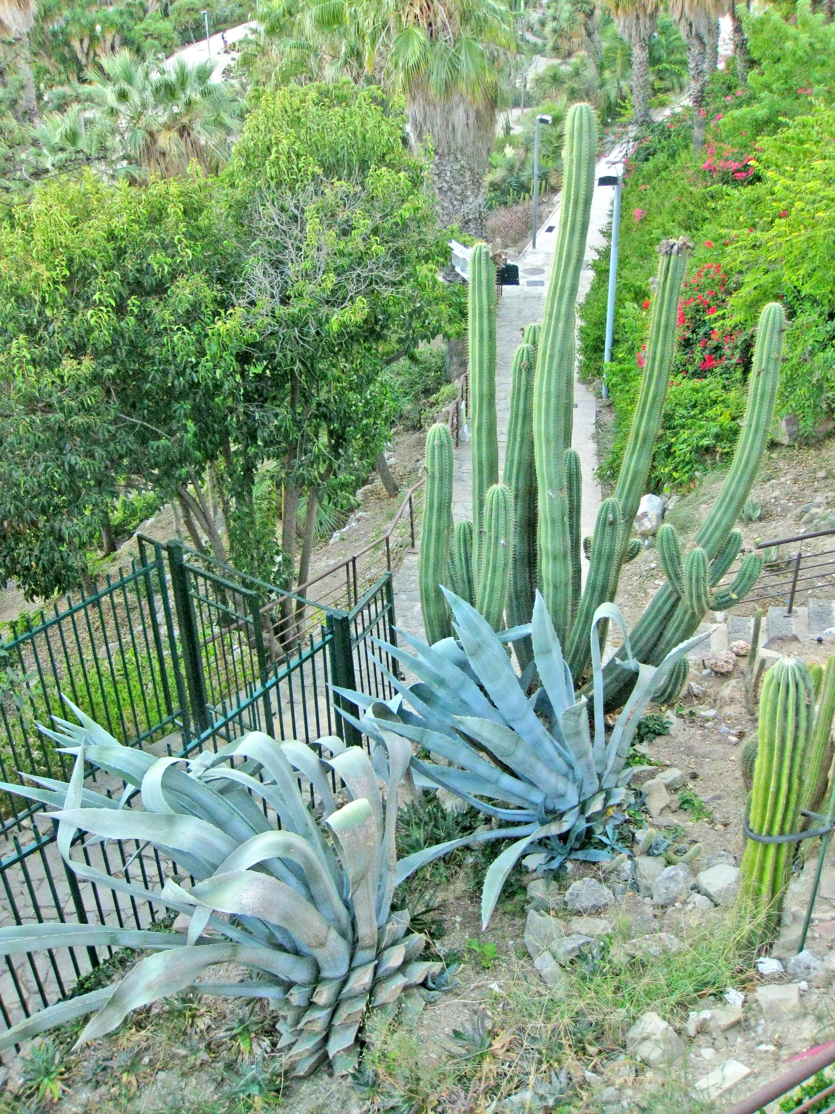 Jardins de Mossèn Costa i Llobera
